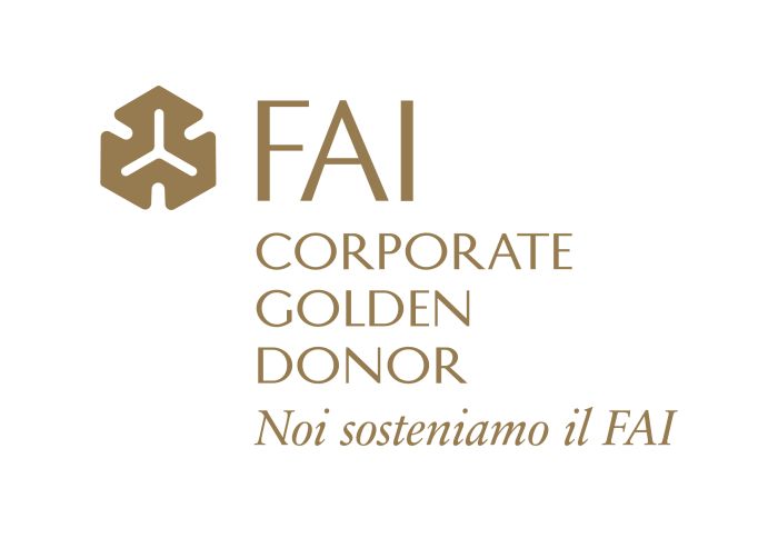 FAI - Corporate Golden Donor Banner - CETOC